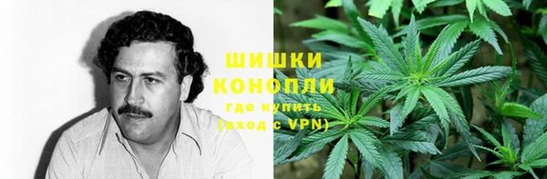 бошки Алзамай