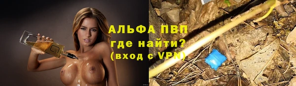 сатива Алексин