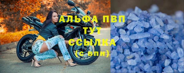 сатива Алексин