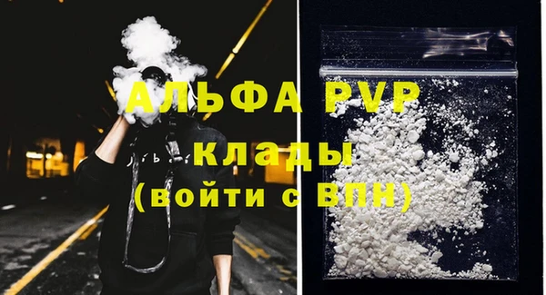 гашик Алексеевка