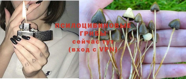 бошки Алзамай
