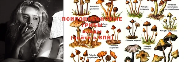 гашик Алексеевка