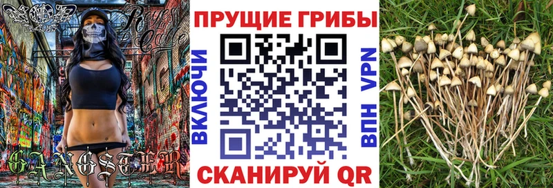 Галлюциногенные грибы мухоморы  где купить   Иннополис 